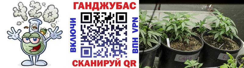 закладки  Сибай  Шишки марихуана тримм 